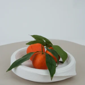Farfurii Plate Din Platic (21Cm) 50 Buc