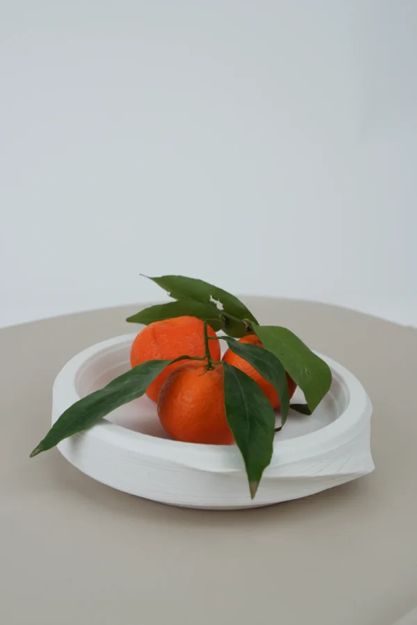 Farfurii Plate Din Platic (21Cm) 50 Buc