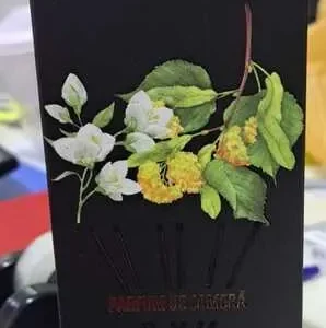 PARFUM CAMERA TEI SI IASOMNIE 120ML