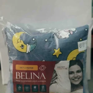 SET 2 PERNE MINET MATLASATE BELINA COLORATE 40*40CM