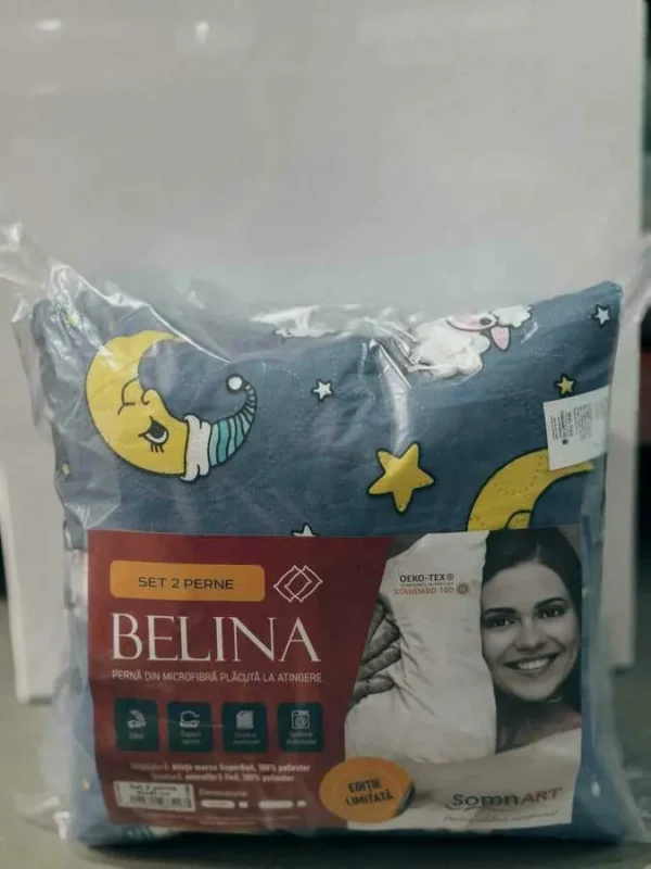 SET 2 PERNE MINET MATLASATE BELINA COLORATE 40*40CM